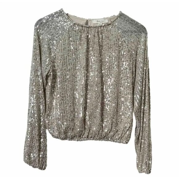 Haver & Blair Tops - Haver  Blair Silver Sequin Sparkling Long Sleeve Top Holiday Party XS